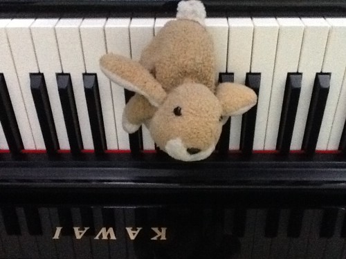 Stofftier auf der Klaviertastatur im Willicher Musikhaus